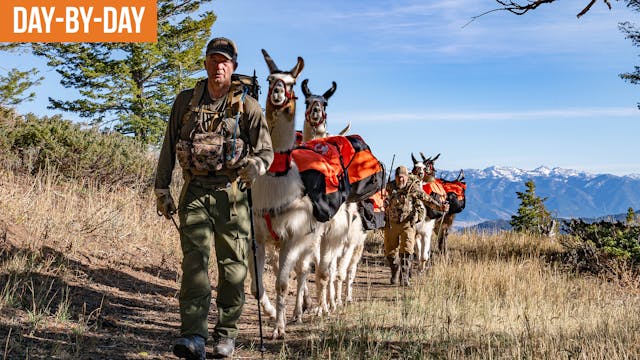 Elk Spotted! | ID Backcountry Elk (EP.1)