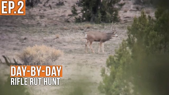 We Found a GOOD One! | Rifle Rut Hunt...