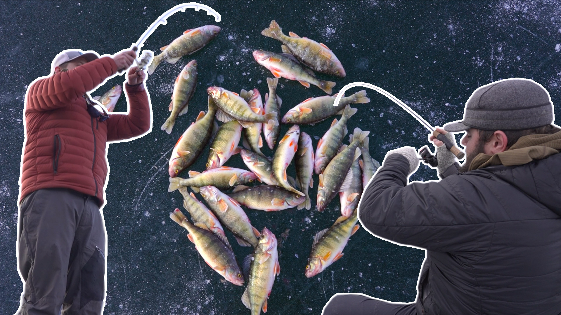 NONSTOP ACTION - Catch, Clean, Cook, Montana Perch