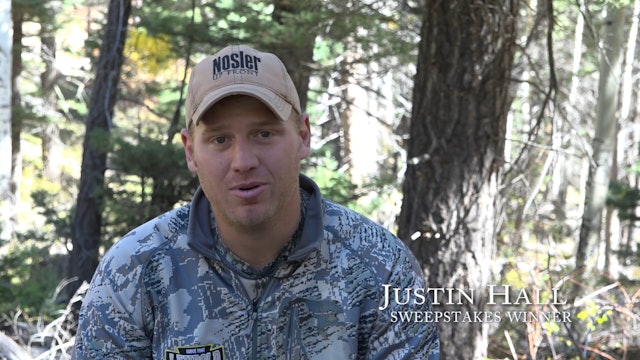 2016 Sweepstakes Elk in New Mexico