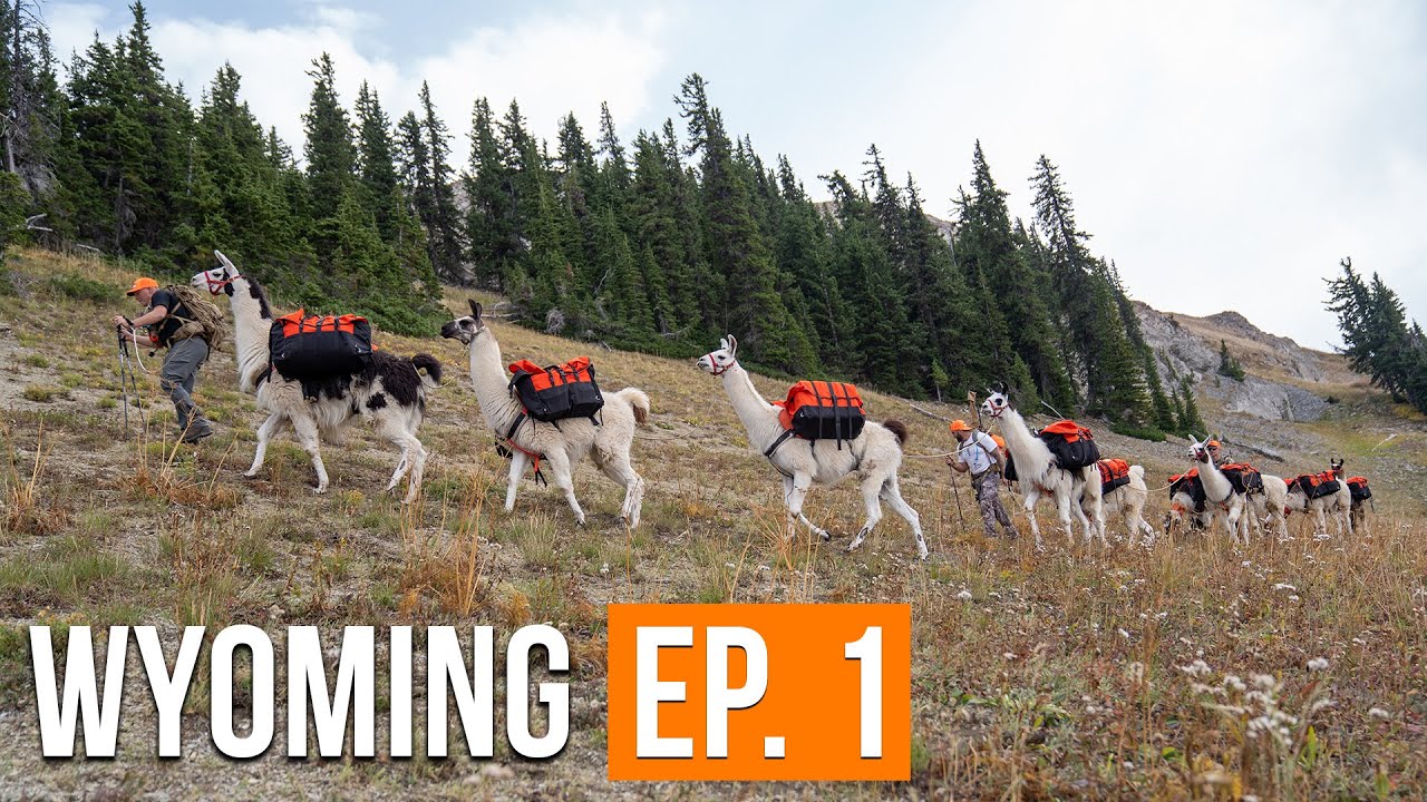 Backcountry Mule Deer Hunt | Wyoming (EP. 1)