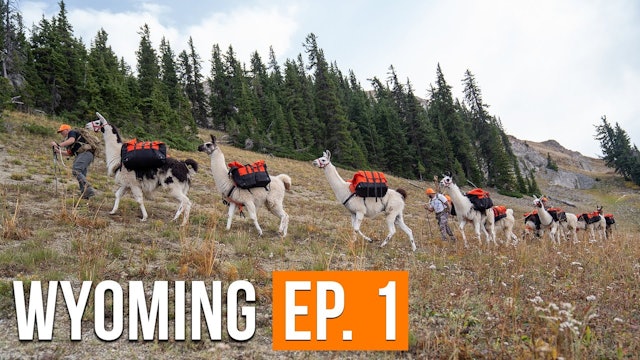 Backcountry Mule Deer Hunt | Wyoming (EP. 1)