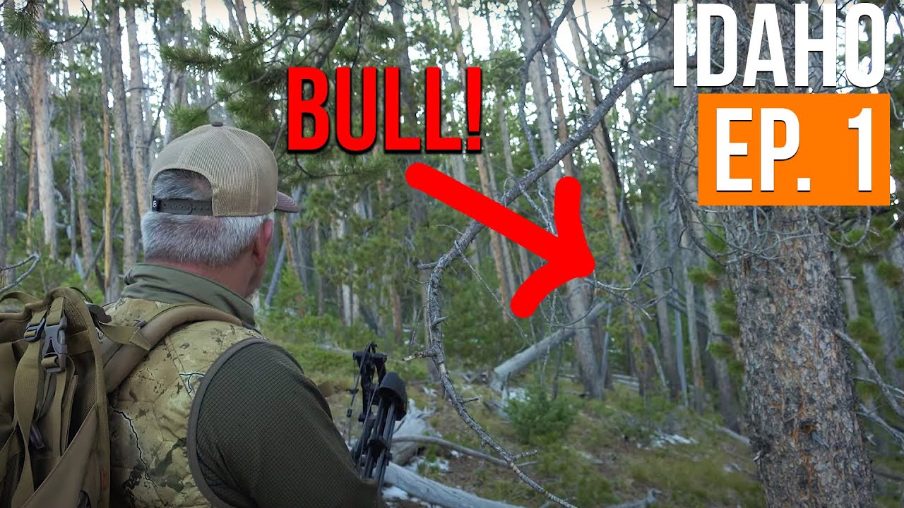 Bad Weather and A Bugling Bull | Idaho Archery Elk (EP. 1)