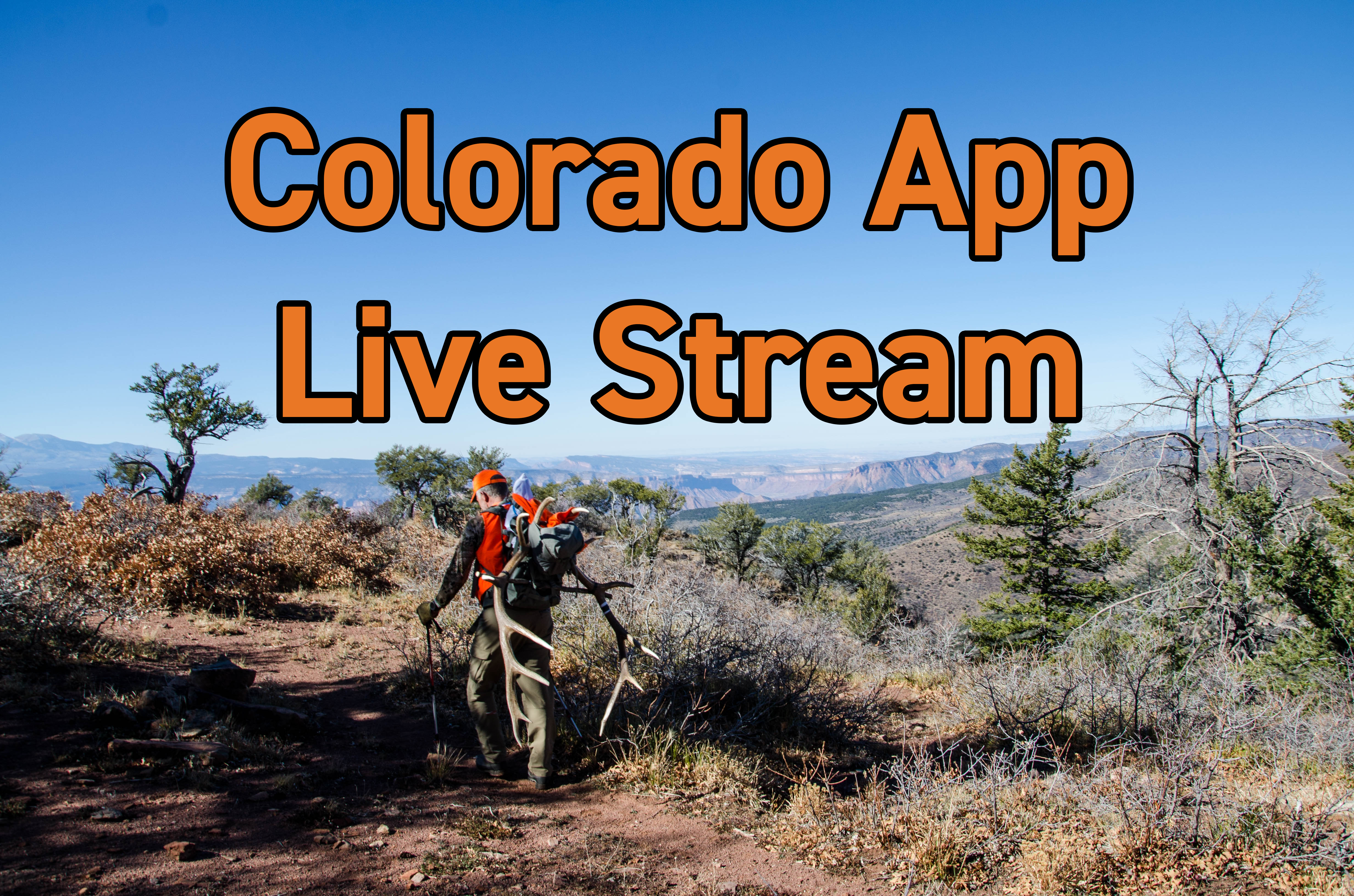 Colorado App Live Stream