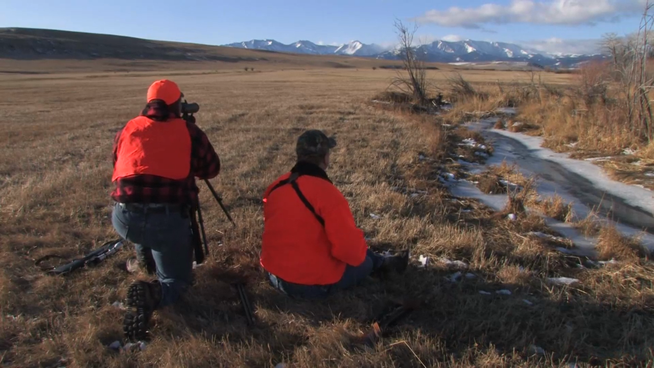 On Your Own Adventures: Season 1, Episode 5 - Montana Whitetail