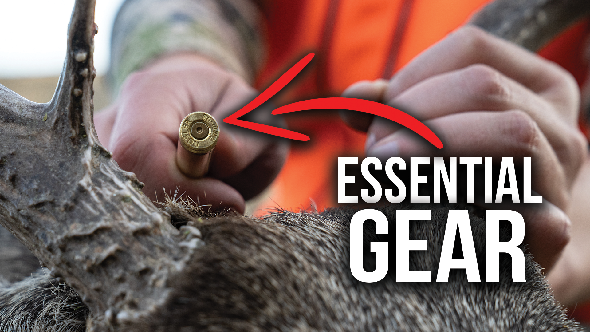 Essential Gear for Colorado Mule Deer Hunts