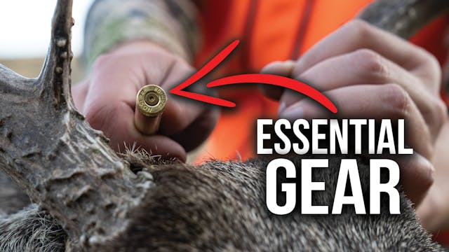 Essential Gear for Colorado Mule Deer...