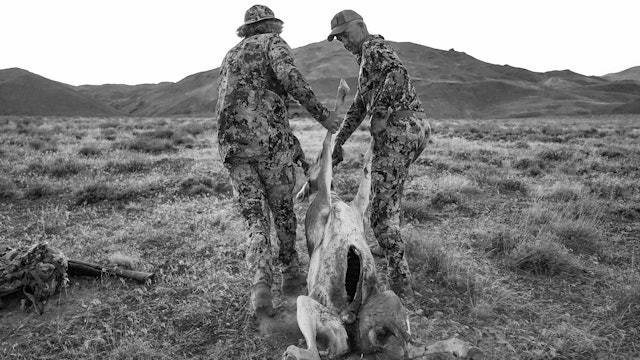 How to Gut A Pronghorn 