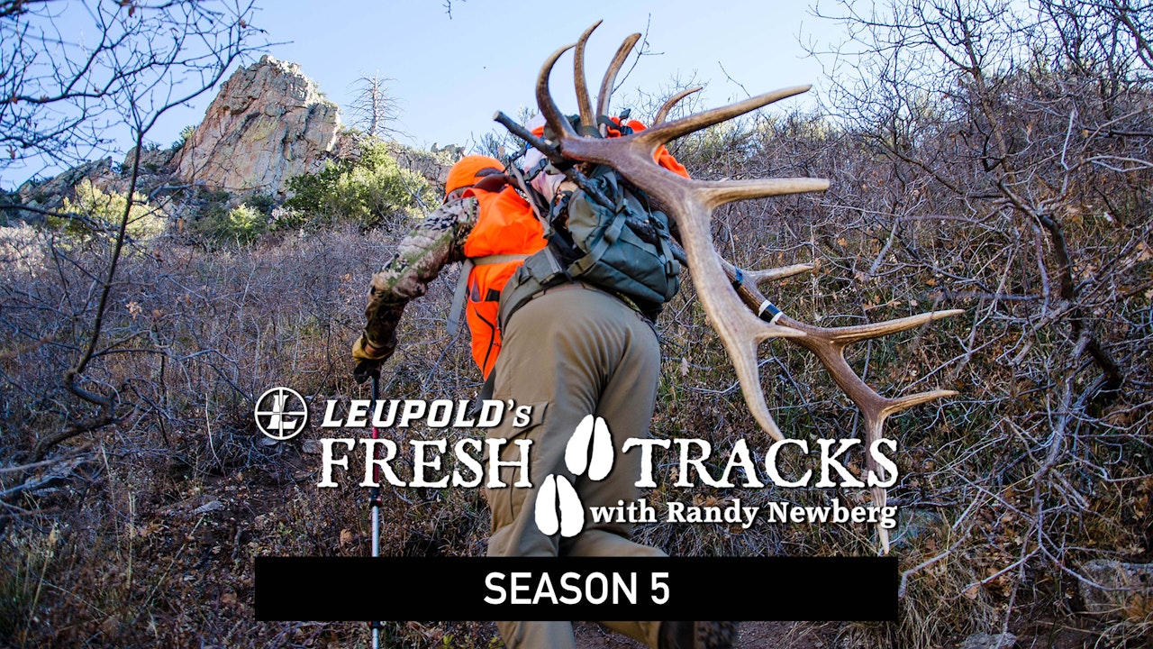 Fresh Tracks – Season 5