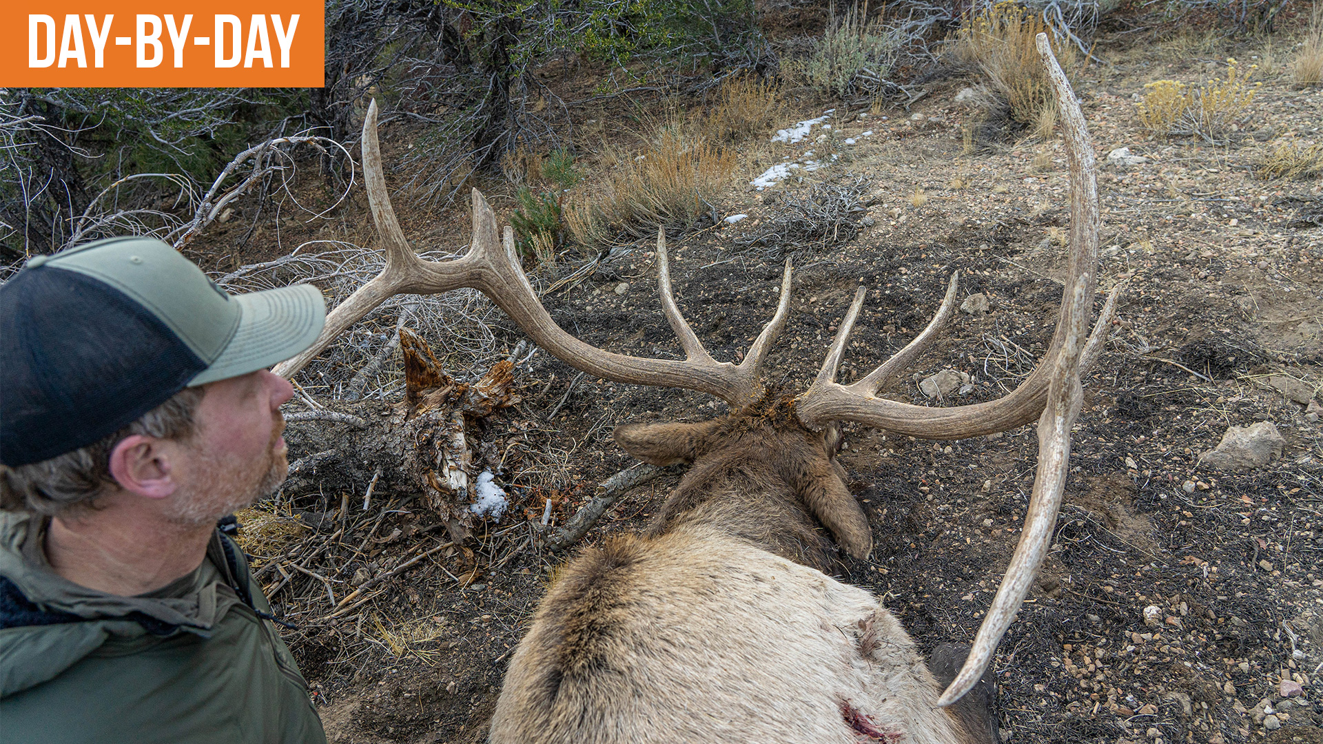 Bull Elk Down! | 2024 Nevada Elk Day-by-Day (EP.3)