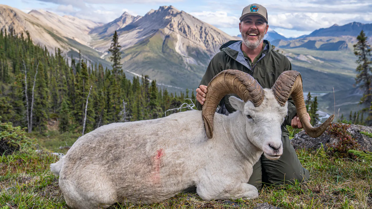 Dreams Coming True | Northwest Territories Dall Sheep - Fresh Tracks ...