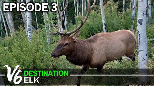 Up Close and Personal with Lonely Jim - Episode 3 (Destination Elk V6)