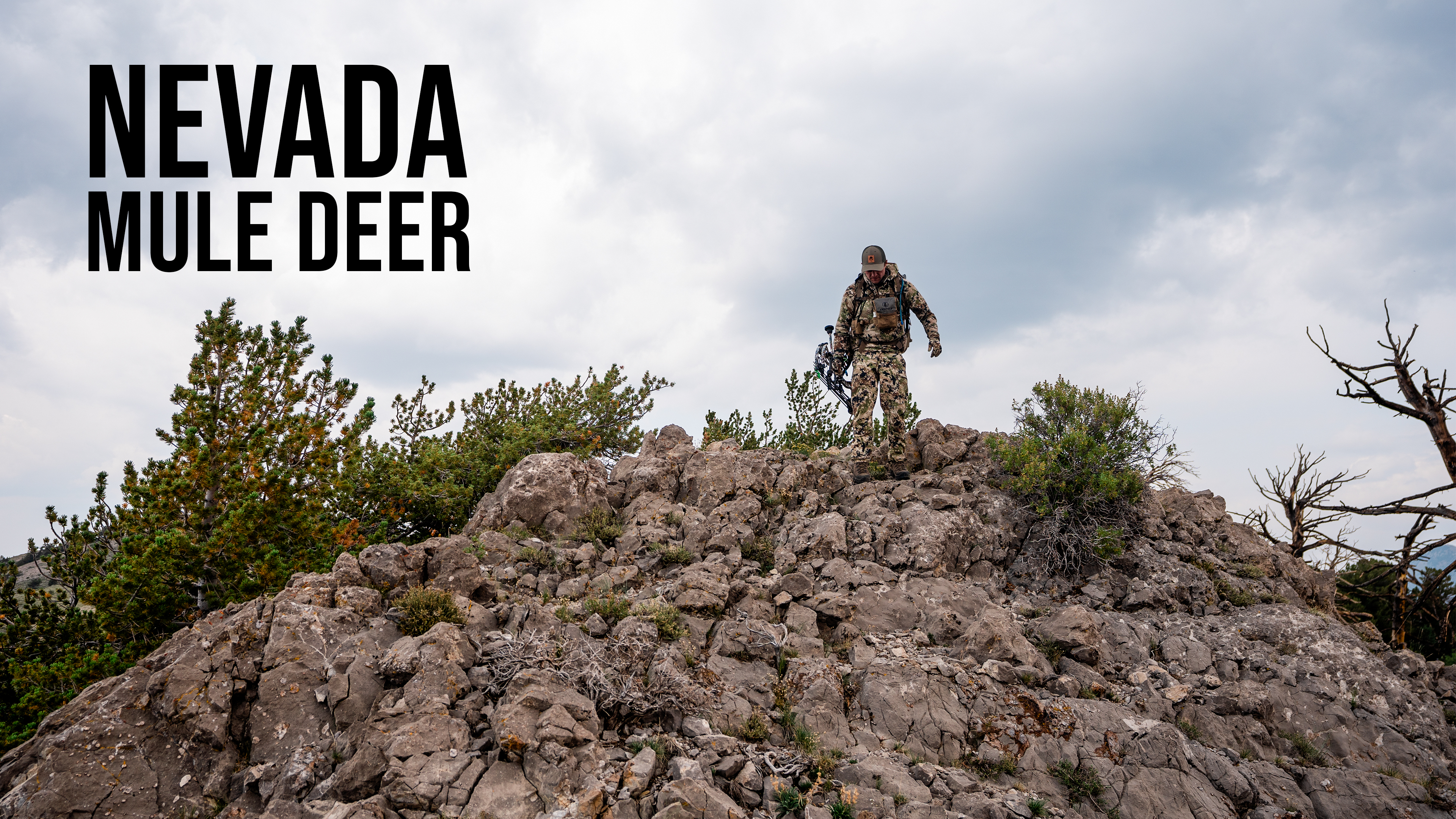 Nevada Archery Deer with Marcus