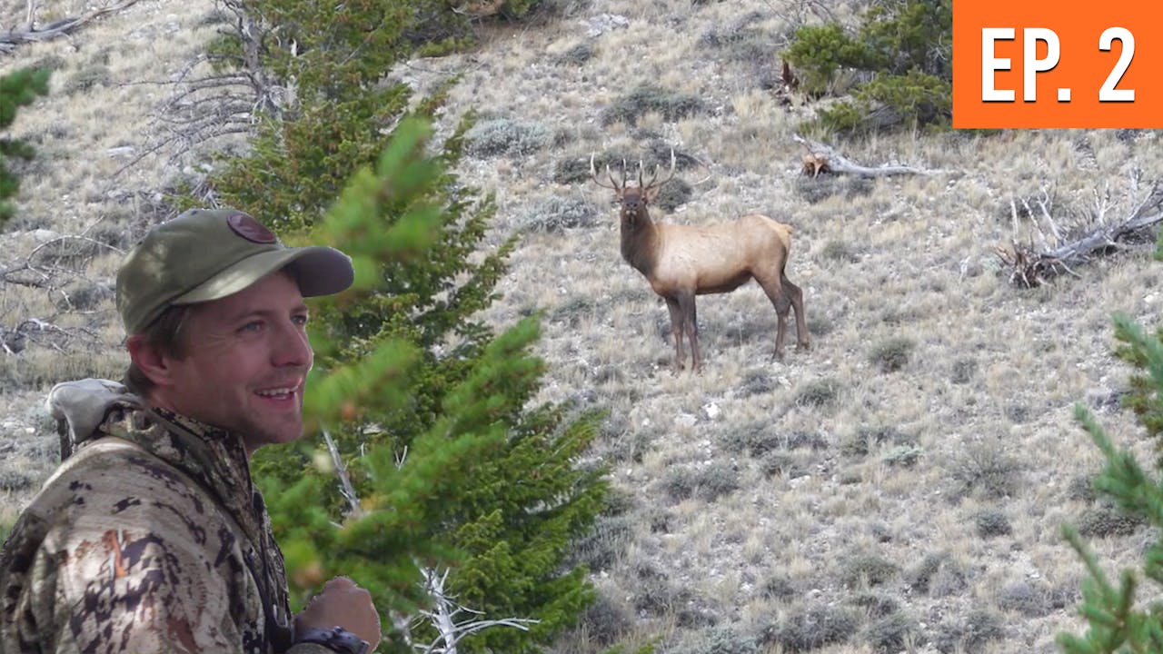 trying-to-call-him-off-private-leftover-elk-hunt-ep-2-leftover