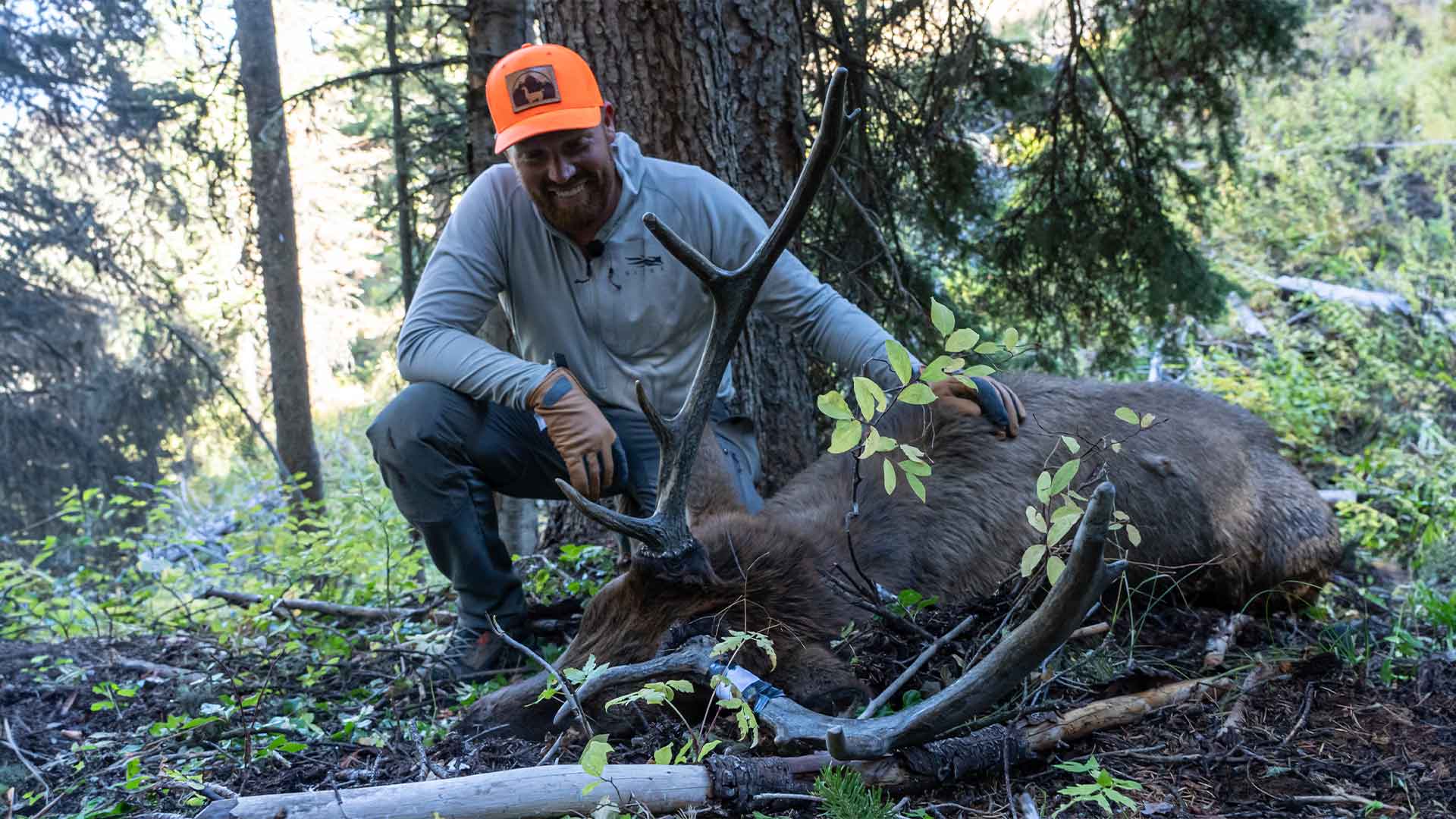 Opening Day Bull! | Wyoming Backcountry Elk Hunt Day-by-Day 