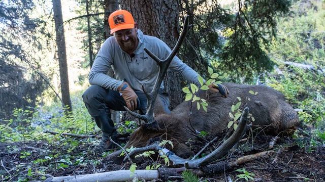 Opening Day Bull! | Wyoming Backcountry Elk Hunt Day-by-Day 