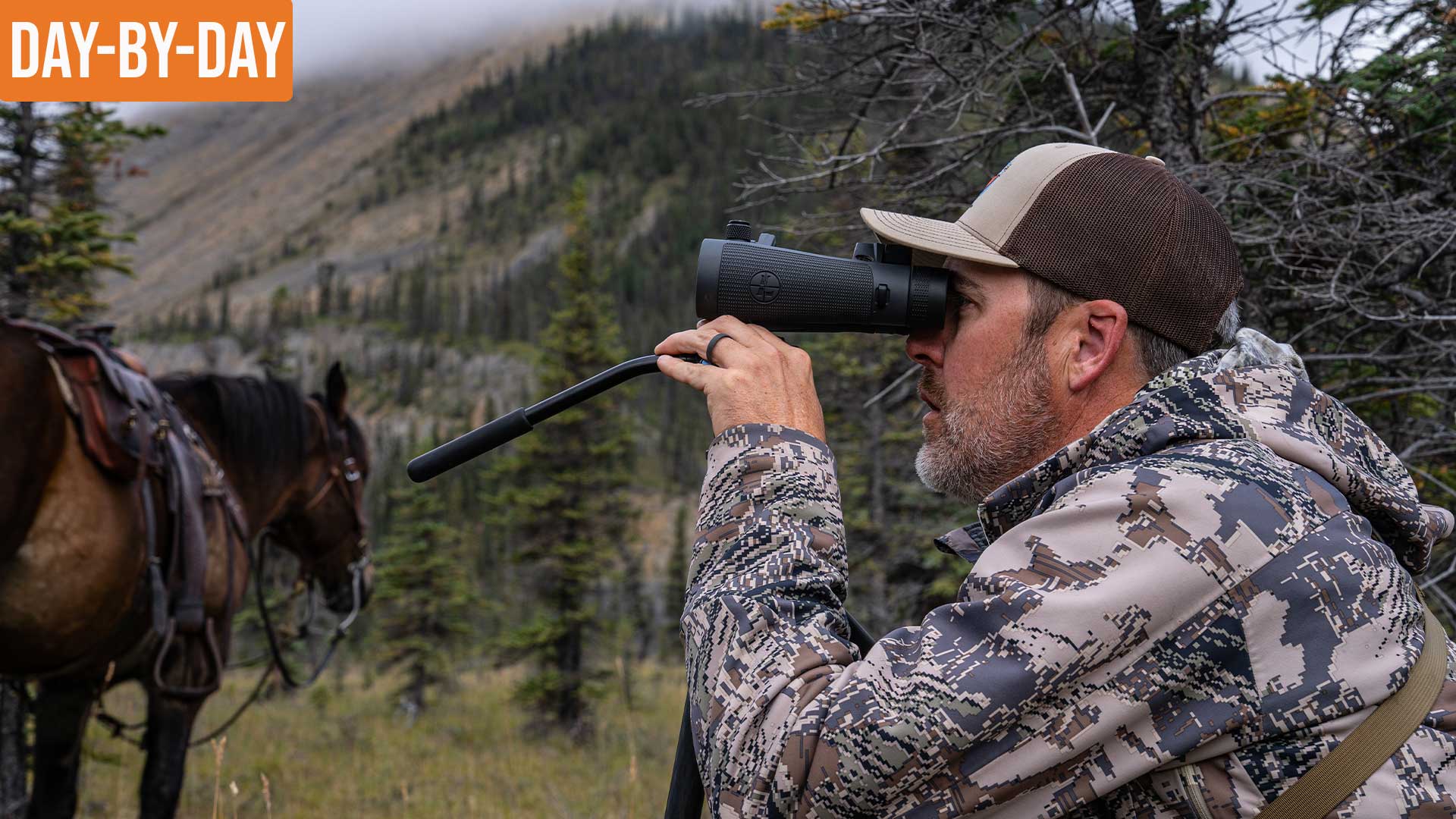 Searching for The Right Ram | NWT Sheep and Caribou (EP.5) 