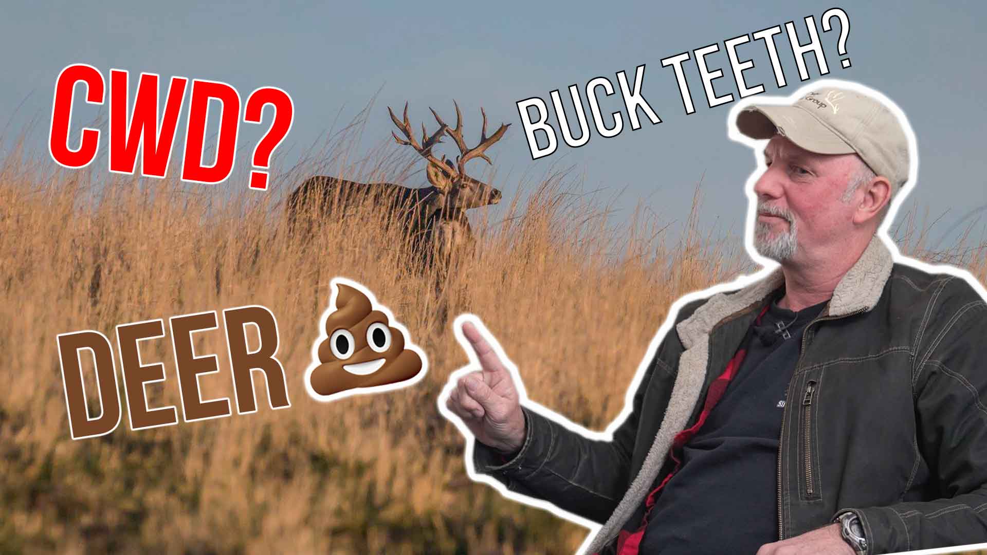 Questions With a Deer EXPERT | Ask Heffelfinger