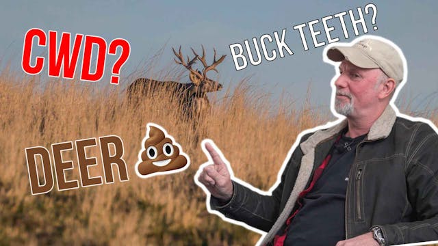 Questions With a Deer EXPERT | Ask He...
