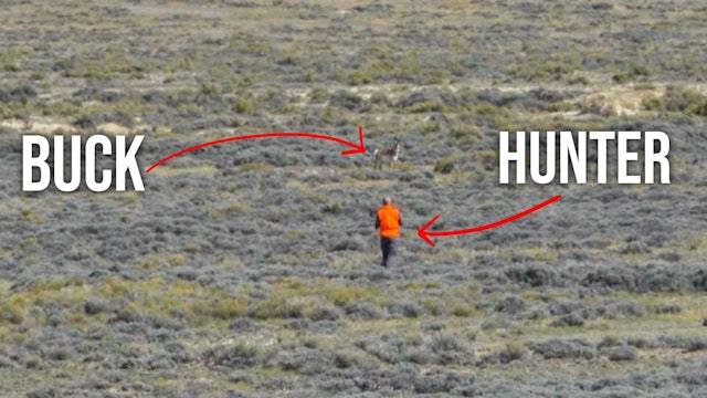A Tip For Getting Close To Pronghorn 