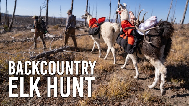 Backcountry Elk Hunt