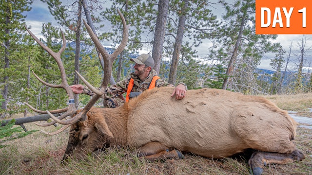 Opening Morning Bull! | Montana Rifle Opener
