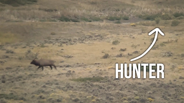 Multiple Bulls and Multiple Stalks! | MT Elk with Marcus and Kara  (Ep.2 of 3)