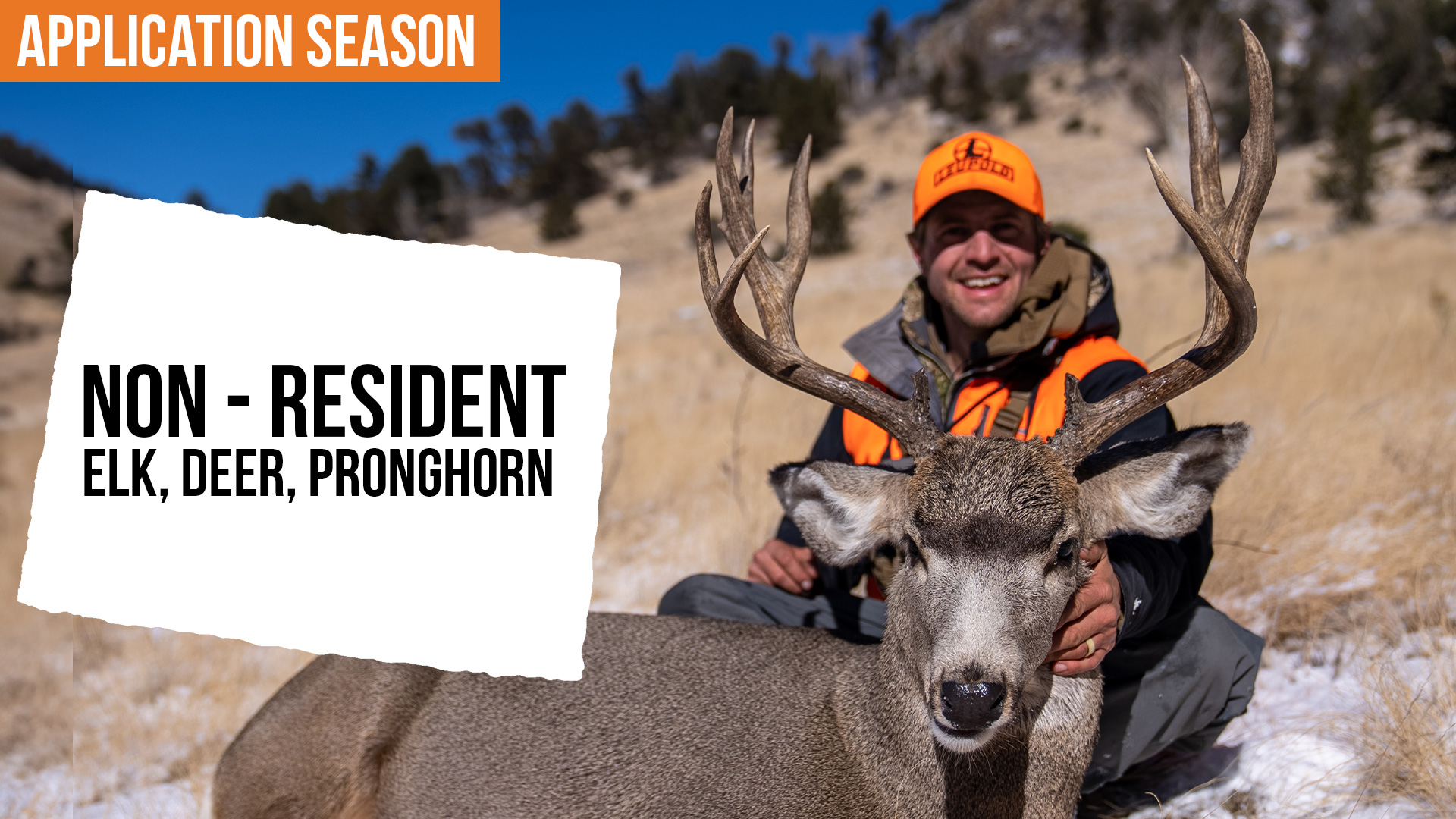 2026 Colorado Application Strategy