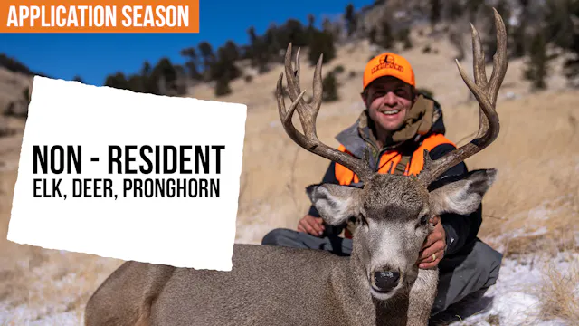 2026 Colorado Application Strategy