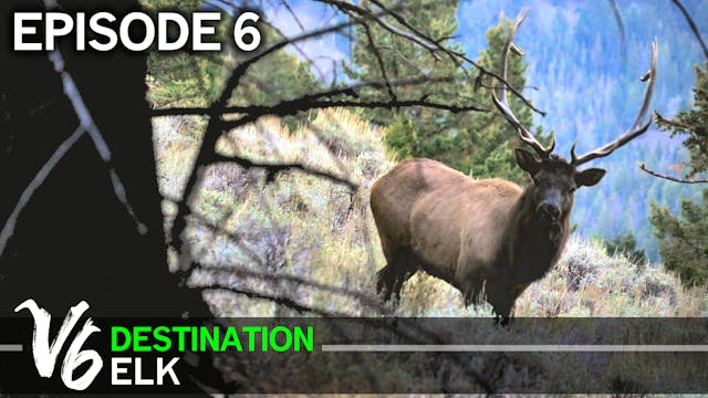 Is It Possible to Be TOO Aggressive? Episode 6 (Destination Elk V6)