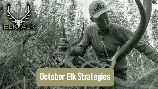 Post-Rut Elk Strategies; October 15-3...