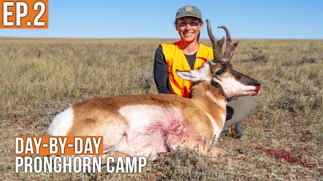 Julies First Pronghorn! | Pronghorn C...