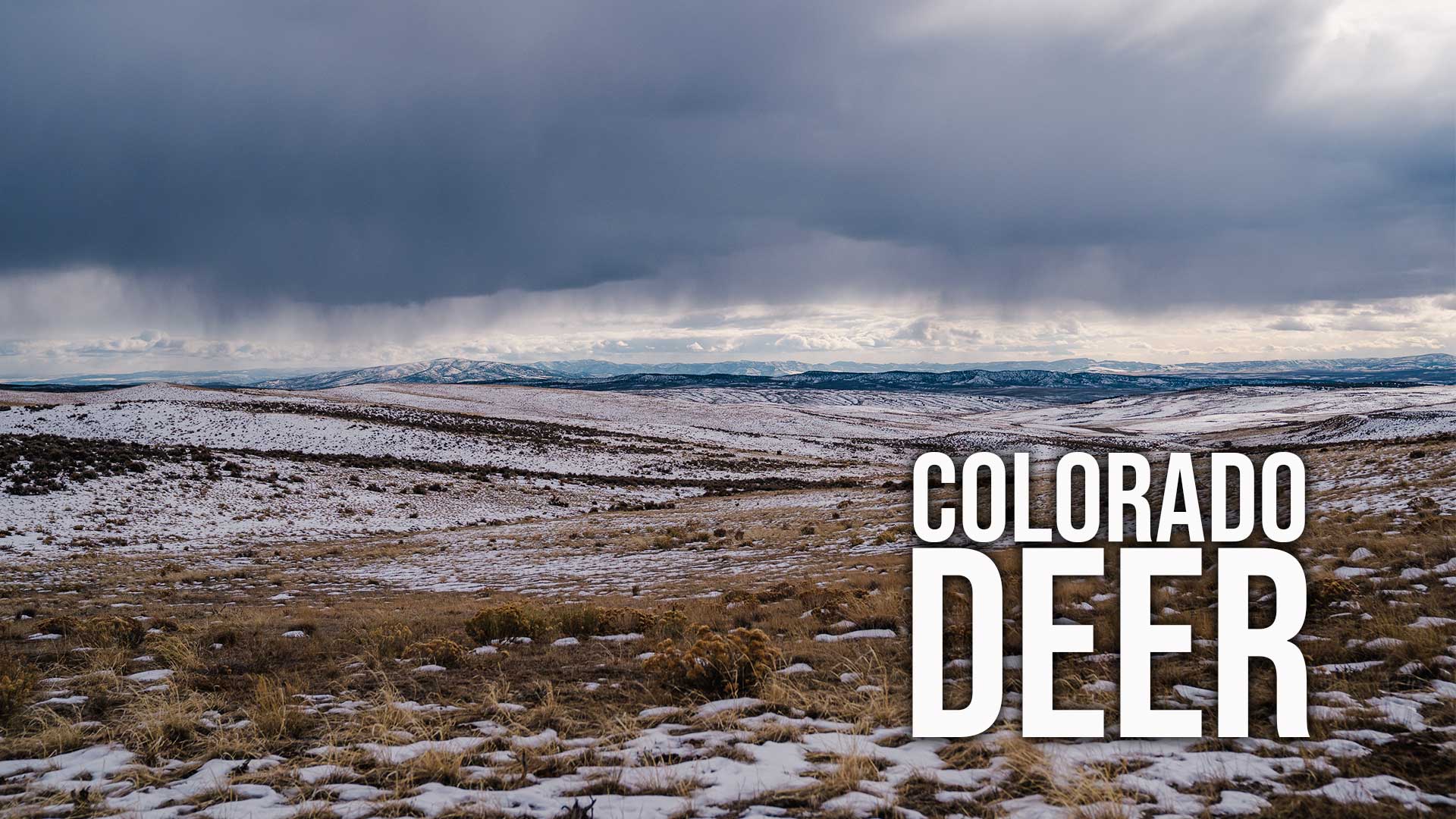 2022 Colorado Deer With Jace