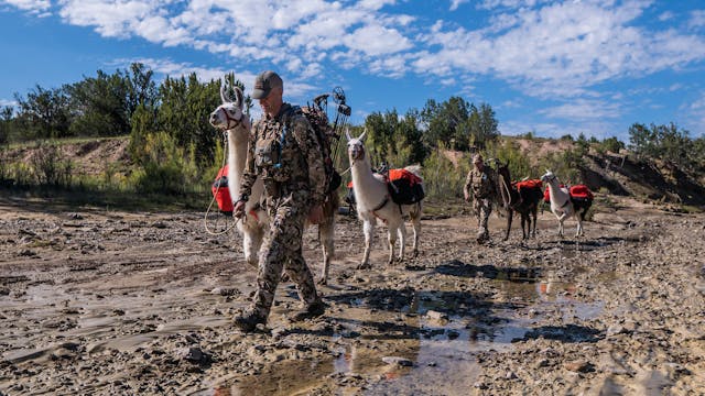 New Mexico Archery Elk With Uncle Jimmer