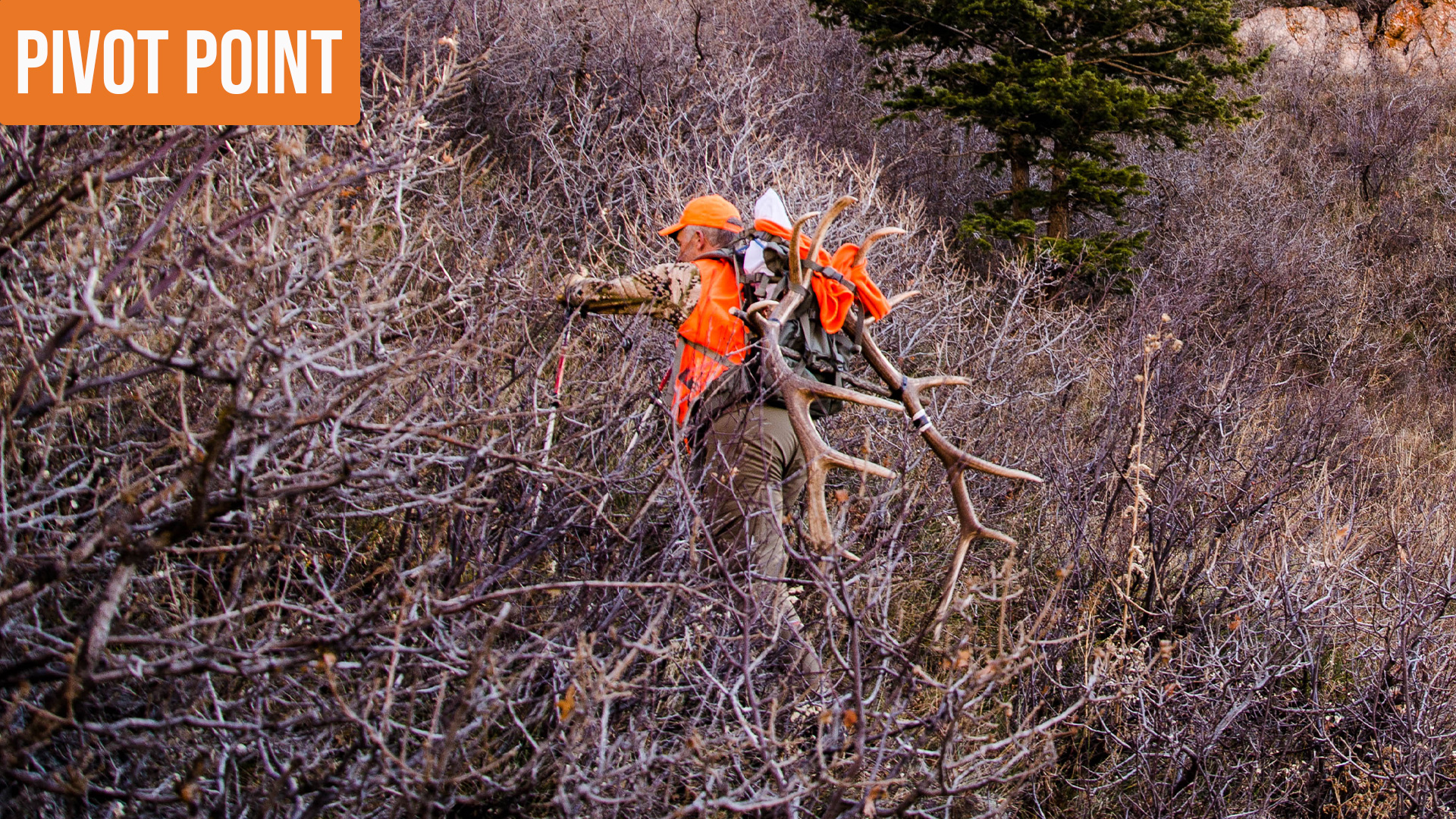 Pivot Point - 2016 Colorado Elk 