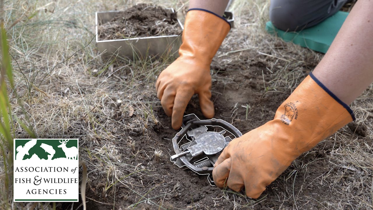 Common Land Sets with Footholds and Foot-Encapsulating Traps - Trapping