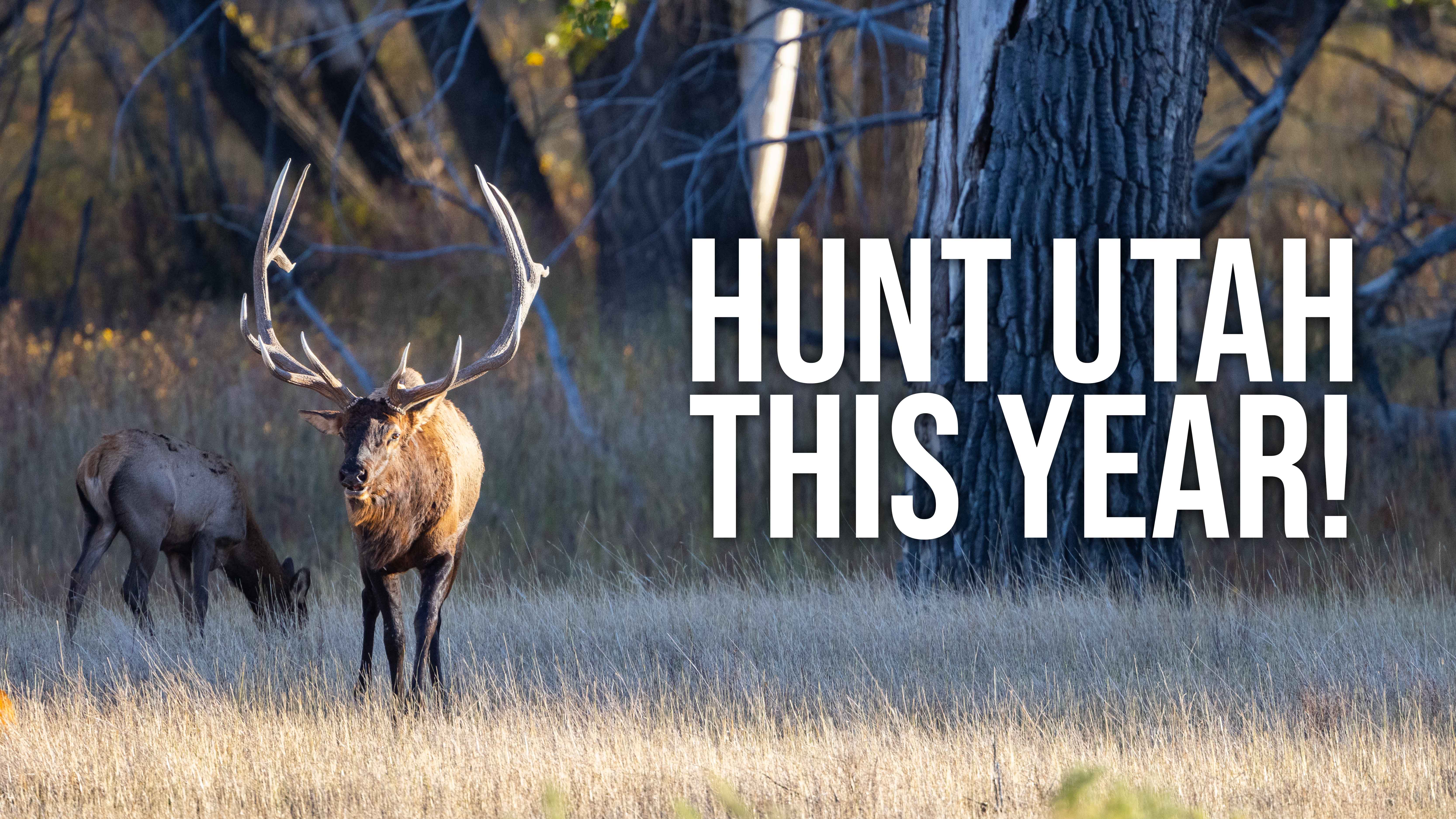 2023 Utah Application Strategy with Randy 