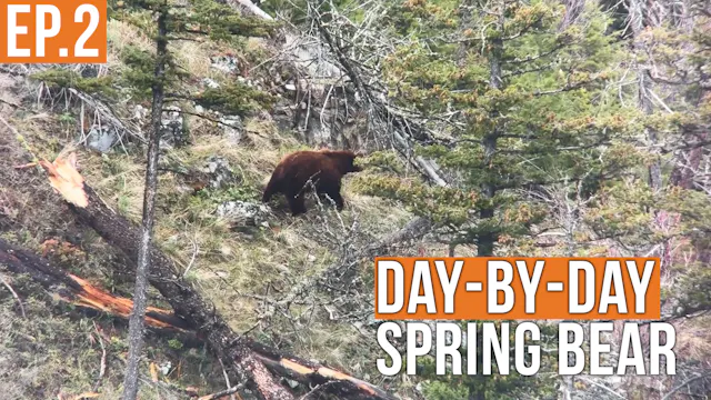 That Didn’t End How We Hoped | Spring...