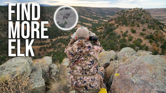 Late Season Elk Glassing Tips | Find ...