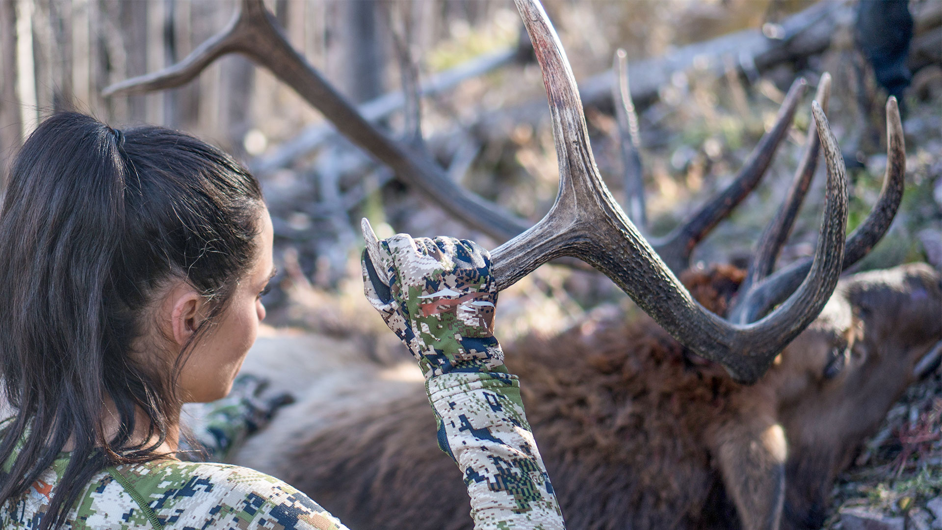 2022 New Mexico Application (All Species) 