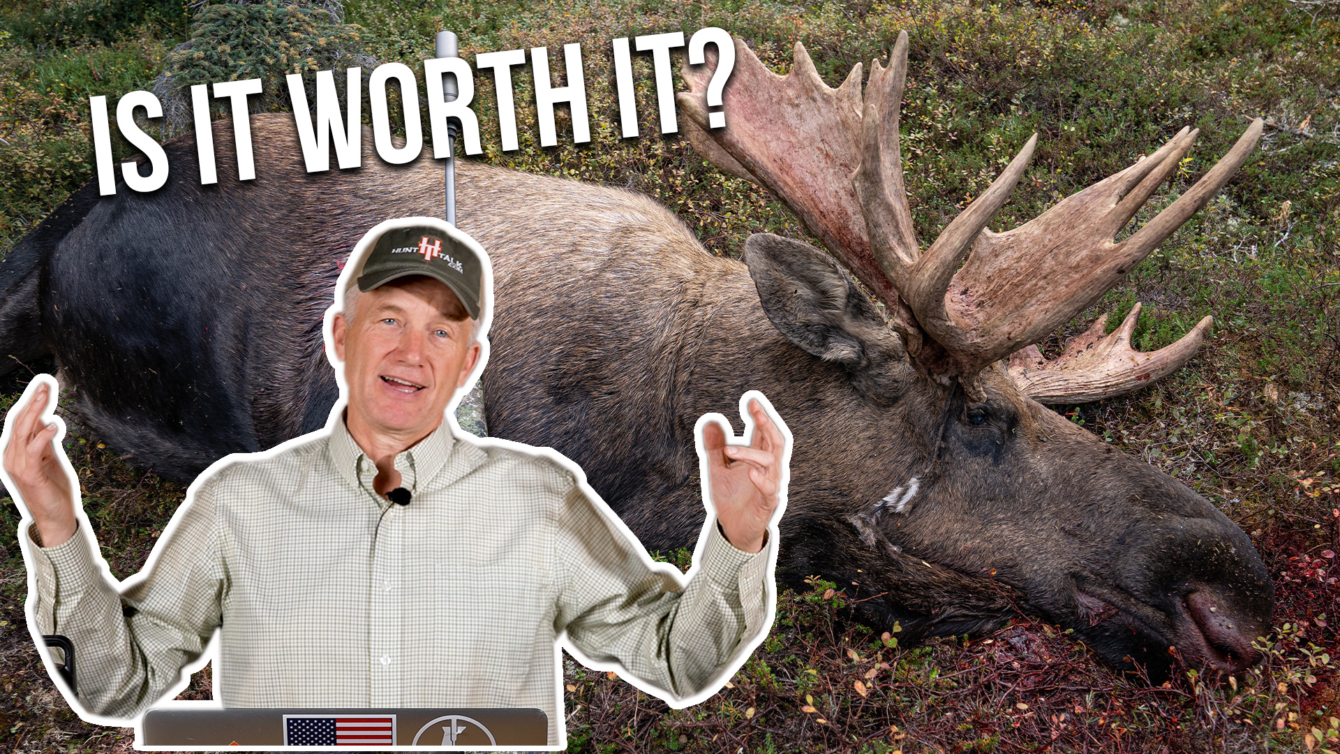 Moose, Goat, & Sheep Reality Check | IS IT WORTH APPLYING FOR?