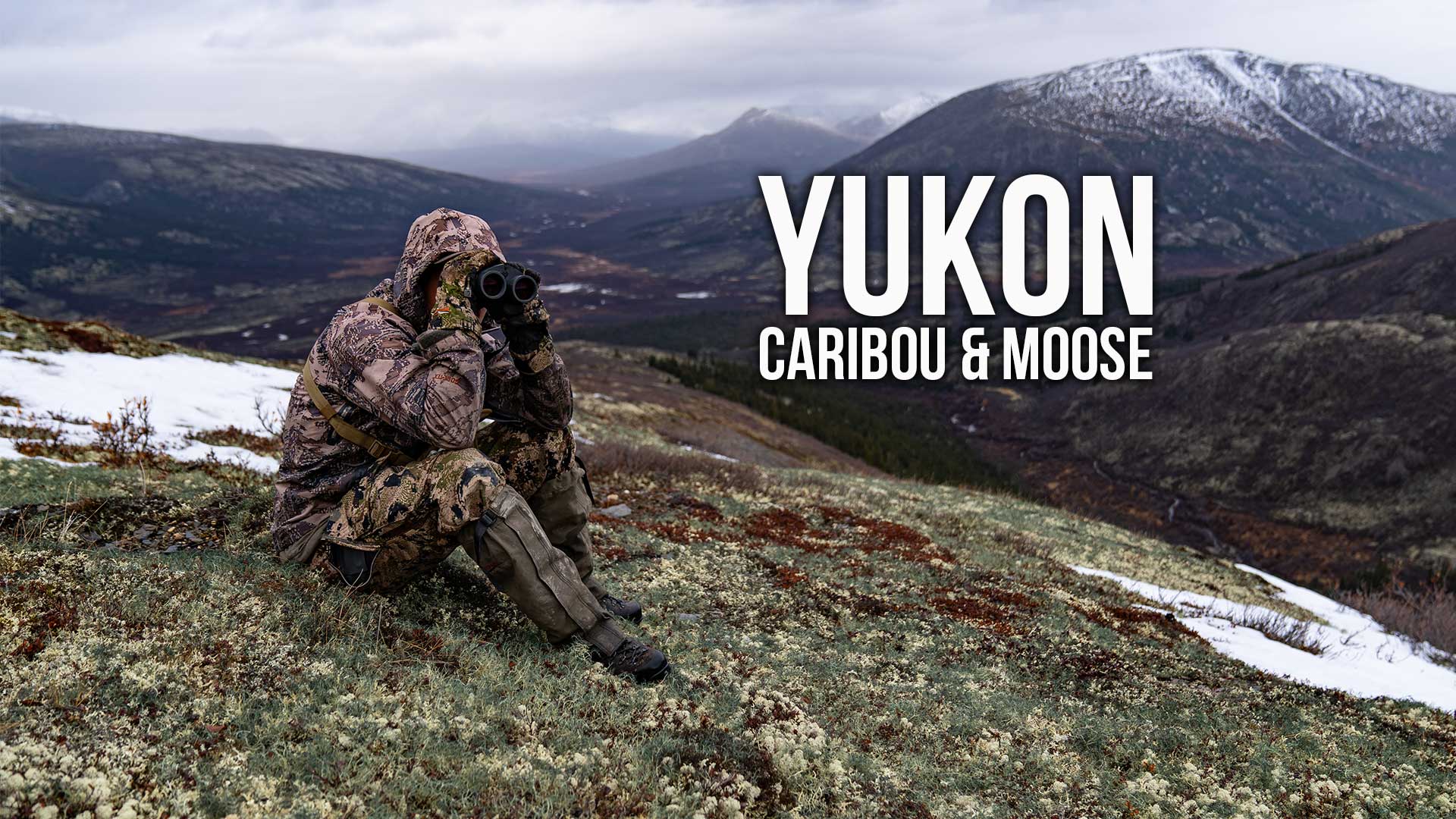 Yukon Caribou and Moose