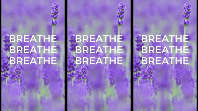 Day Eight: 10 Day Sensual Movement Flow