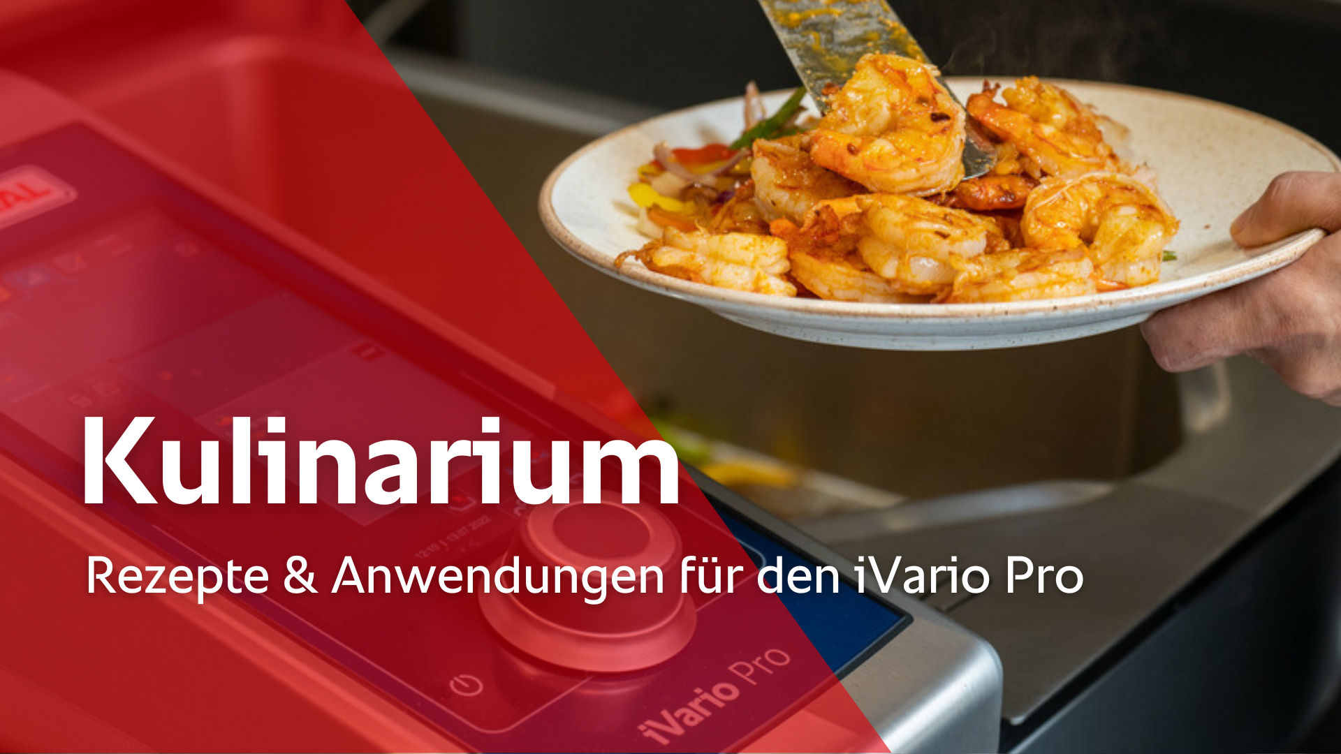 Rezeptvideos & Anwendungen für den iVario Pro - Kulinarium: