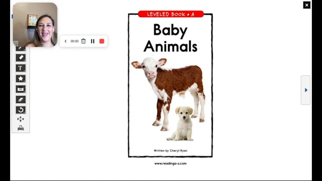 "Baby Animals" Kindergarten Level A
