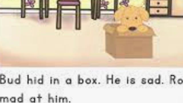 Decodable Texts