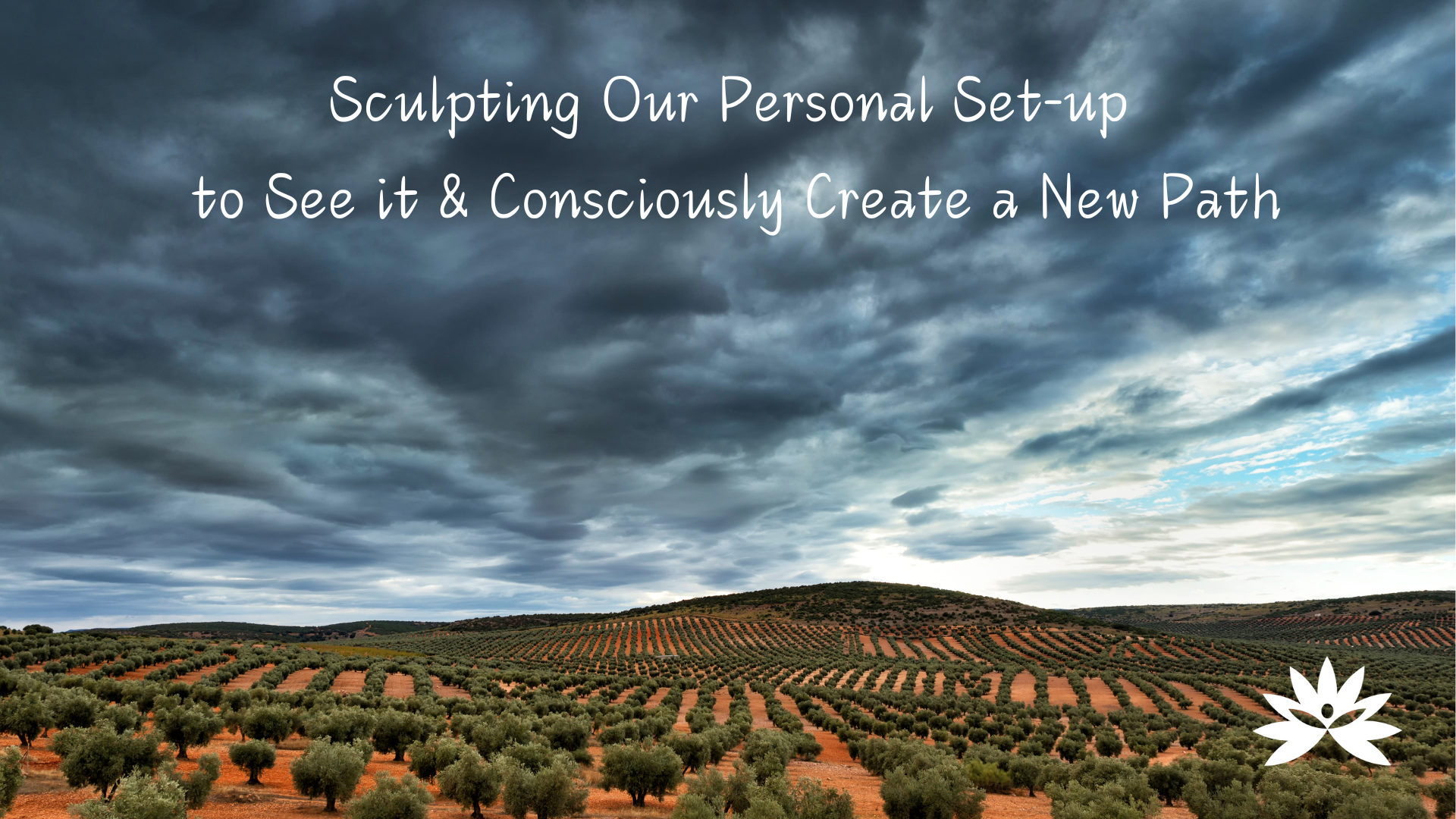 Pathways to Peace November 5, 2024