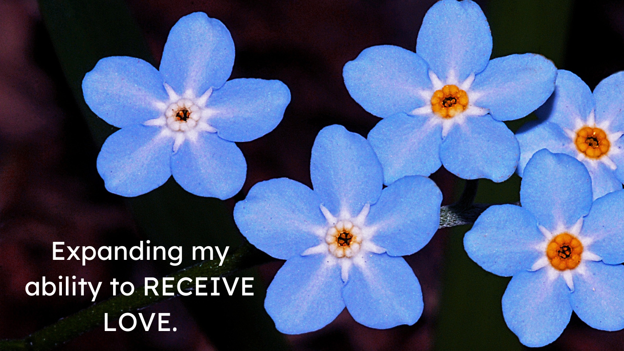 Reality Formula Live - November 29, 2022