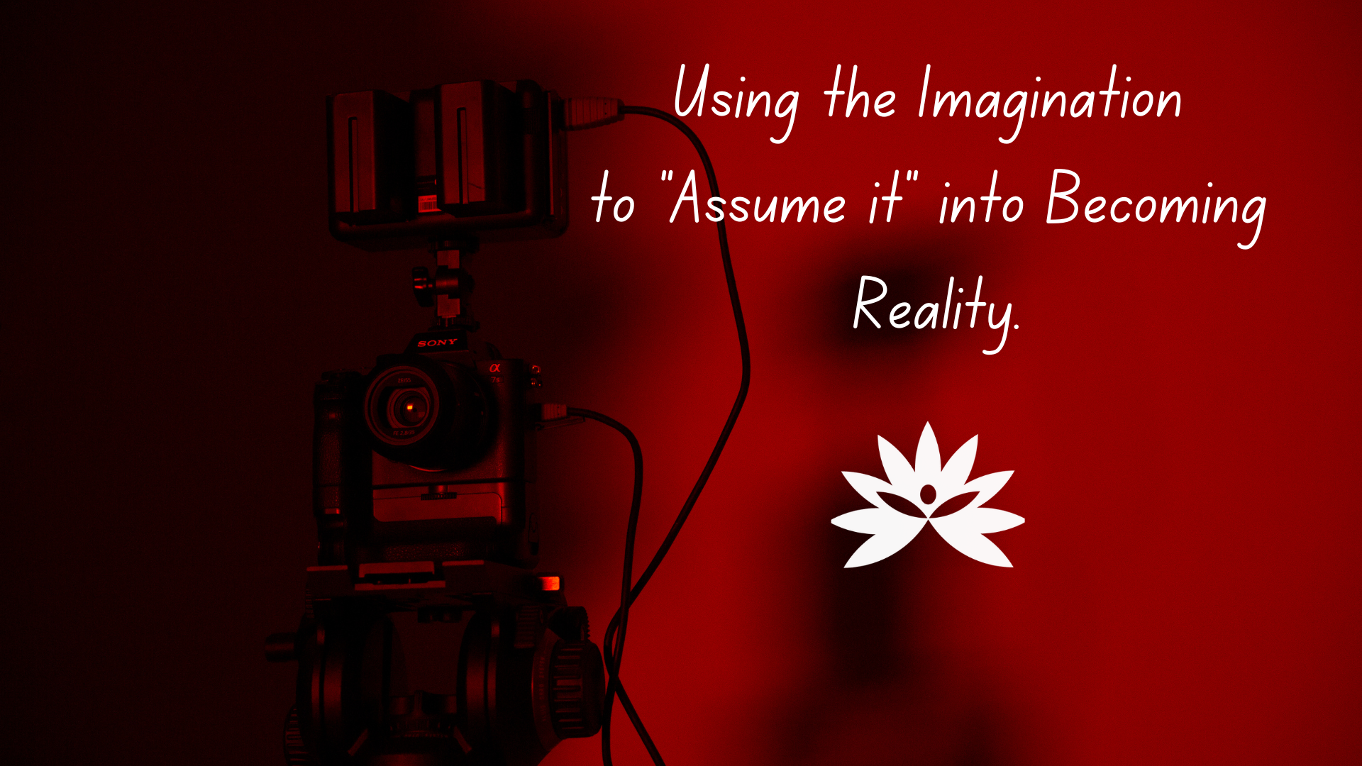 Reality Formula Live - December 5, 2023