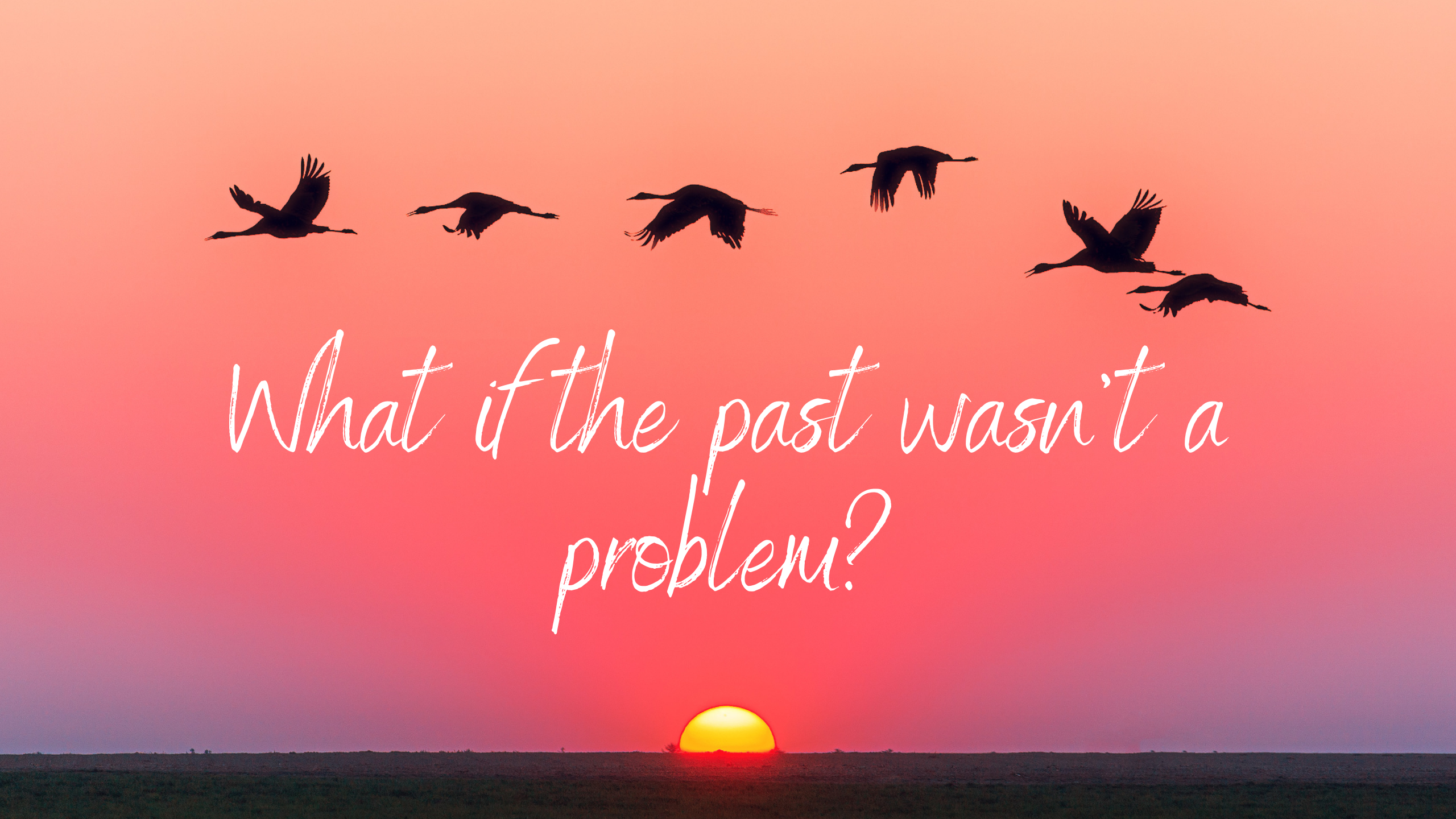 Reality Formula Live - January 19, 2021